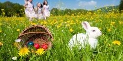 Všechno co chcete vědět o letošních Velikonocích